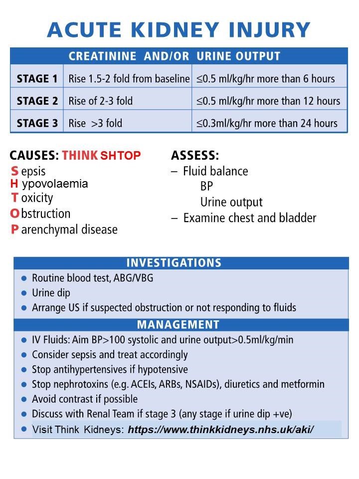 Aki Hayakawa In Code Geass Explained Simply And Clearly